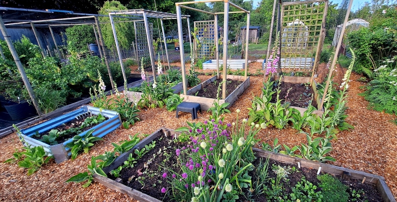 Gabrielle's Allotment